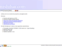 Tablet Screenshot of nishilua.com
